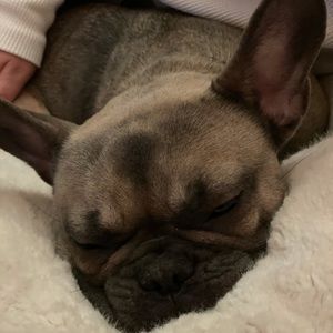 Meet your Posher, Dominique